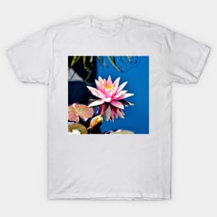 Pink Water Lily in Pool T-Shirt